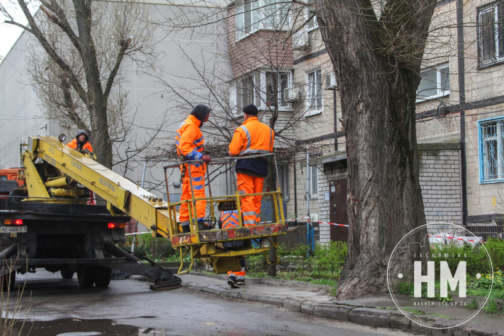 Новини Дніпра:  Як видаляють аварійні дерева  - Наше Місто