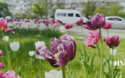 Новини Дніпра: Погода в Дніпрі