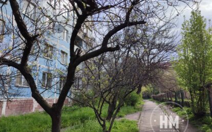 Новини Дніпра: Чому почорніли абрикоси - Наше Місто