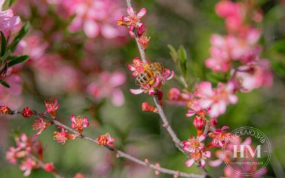 Новини Дніпра: Яке свято 28 квітня