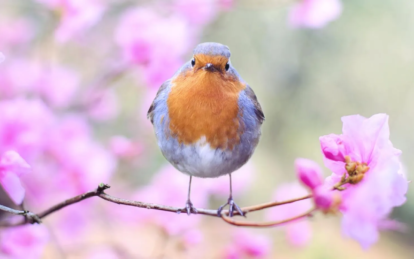 Свято 22 квітня: який сьогодні день, прикмети, хто іменинник