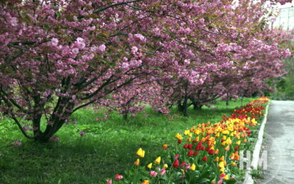 Яка ситуація у Дніпрі на ранок 2 травня - Наше Місто