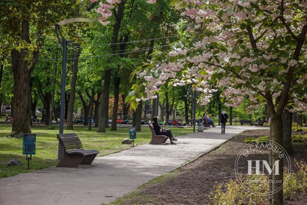 Новини Дніпра: Парк Шевченка шаховий рай