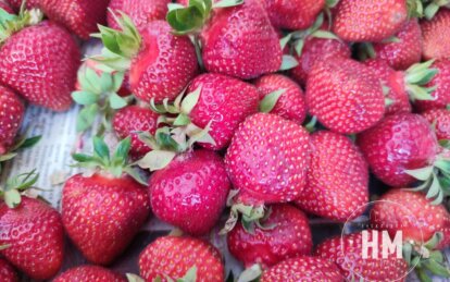 Ціни на полуницю в Дніпрі - Наше Місто