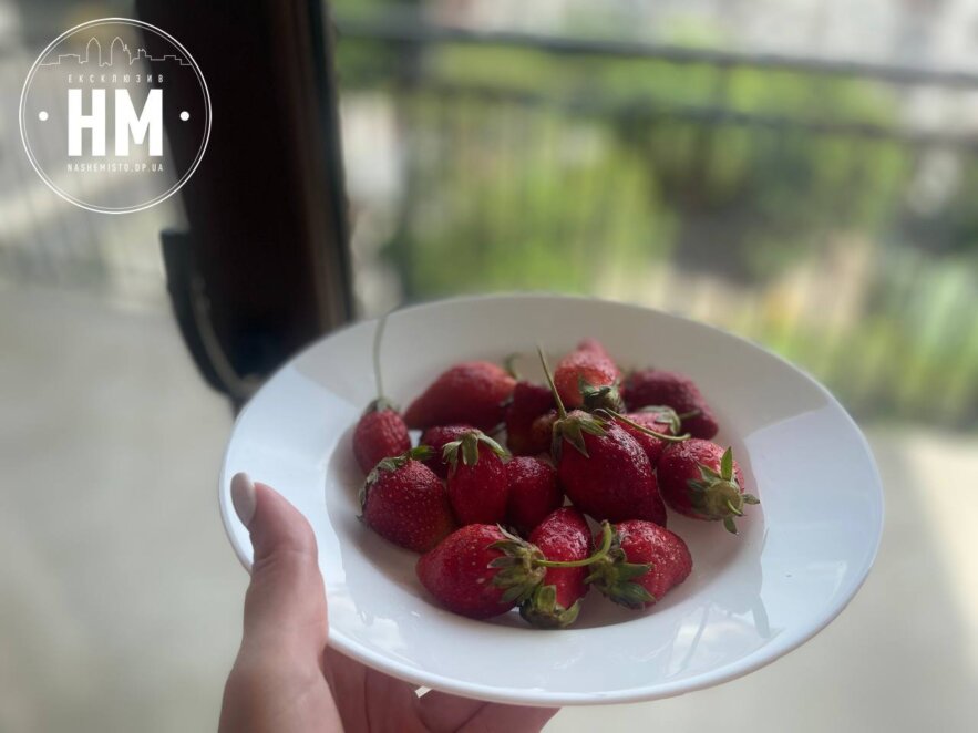 Новини Дніпра: Скільки можна з'їсти полуниці