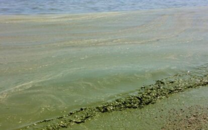 Чим загрожує опріснення води в Чорному морі - Наше Місто