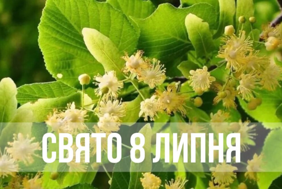 Новини Дніпра: Свято 8 липня