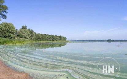 Новини Дніпра: Чим небезпечне цвітіння водойм