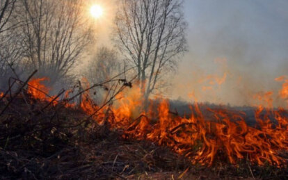 У Дніпрі та області оголошено надзвичайний рівень пожежної небезпеки