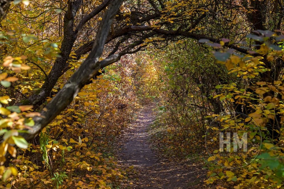 Новини Дніпра: Прогноз погоди у Дніпрі на 18-22 жовтня