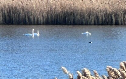 Підприємець вкрав у громади водосховище  - Наше Місто