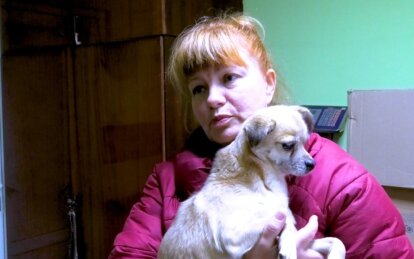 Новини Дніпра: Волонтерка з Дніпропетровщини рятує тварин від війни
