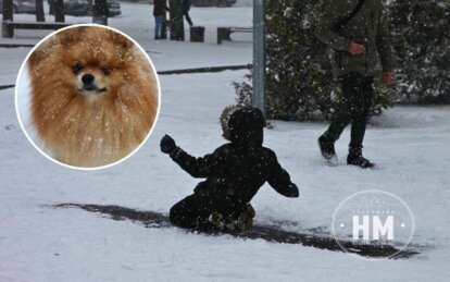 Рождественская сказка на улицах города: в Днепре жители радуются невероятной зимней красоте (Фото)