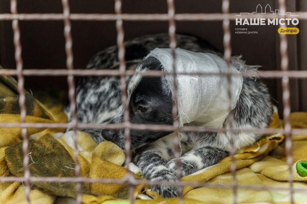 клініка Малишка працює після ракетного удару