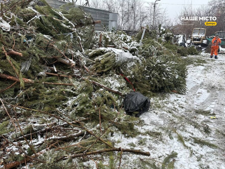 У Дніпрі подрібнені новорічні ялинки передають на ферму, яка постраждала від ракетного удару