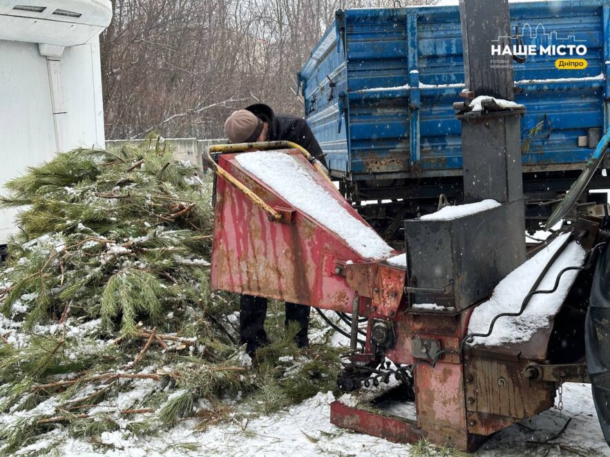 У Дніпрі подрібнені новорічні ялинки передають на ферму, яка постраждала від ракетного удару