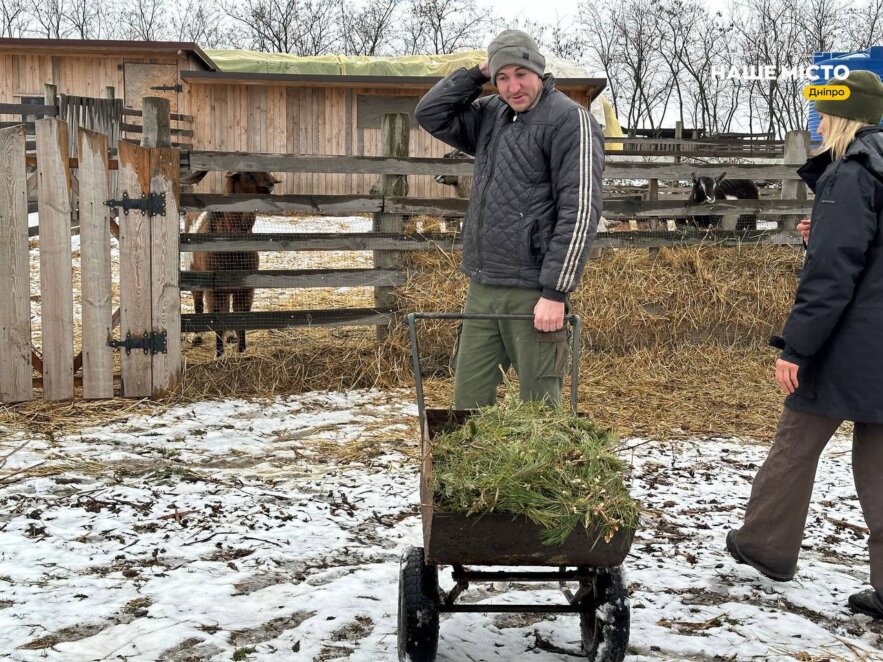 У Дніпрі подрібнені новорічні ялинки передають на ферму, яка постраждала від ракетного удару