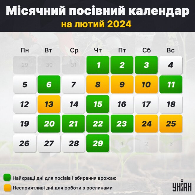 Посівний календар на лютий 2024: що потрібно зробити, аби отримати великий урожай