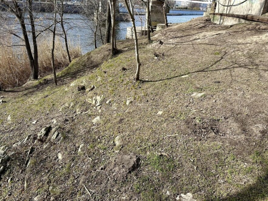 У Дніпрі парки готують до весняного сезону - Наше Місто