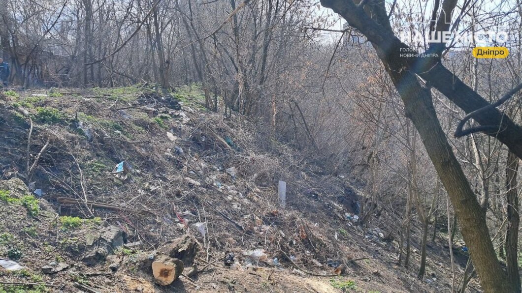 замусоренный склон парка Зеленый Гай в Днепре