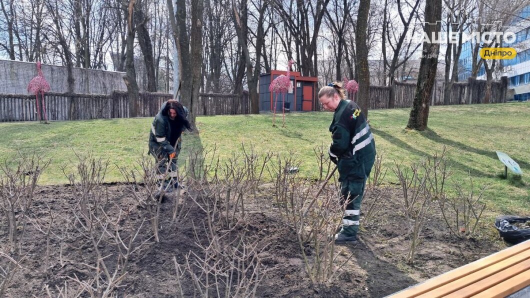 коммунальщики работают в парках Днепра