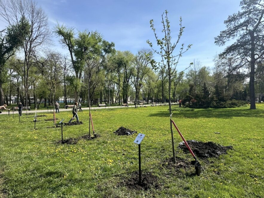 У Дніпрі у парку Глоби висадили Алею живою пам’яті - Наше Місто