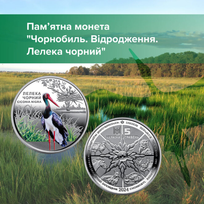 В Украине появится новая монета: как будет выглядеть 