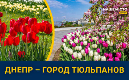 Днепр - город тюльпанов 2024 - Наше Місто