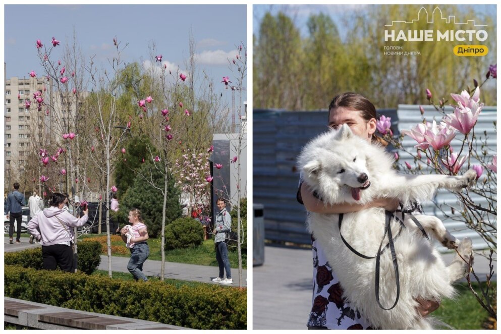 Як у Дніпрі підтримують зелені зони під час війни