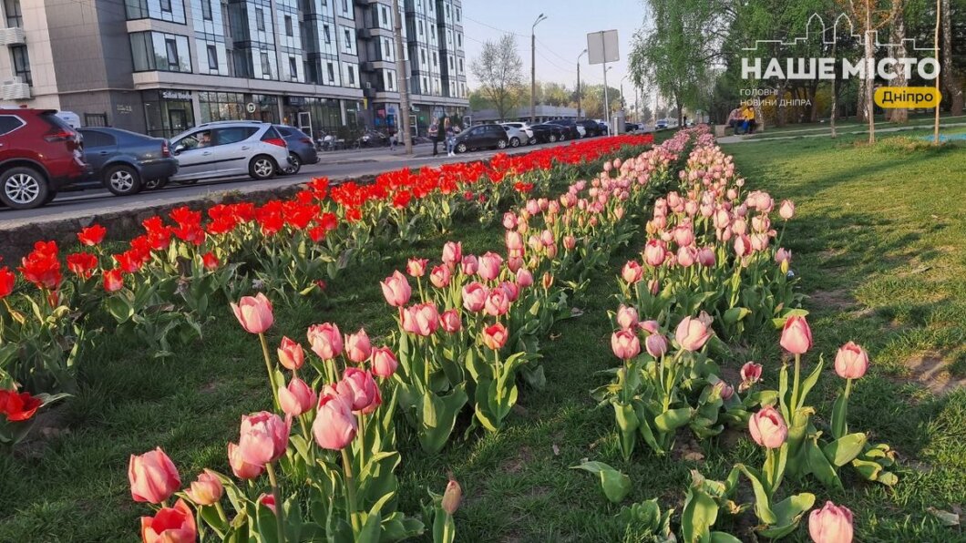 Як у Дніпрі підтримують зелені зони під час війни