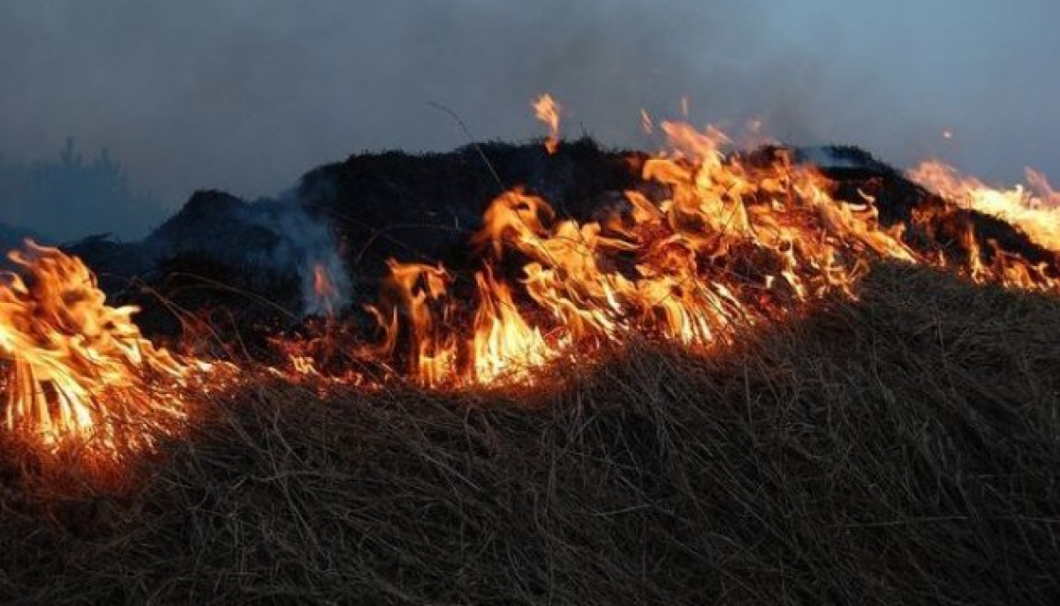 У Дніпрі та області попередили про надзвичайну пожежну небезпеку
