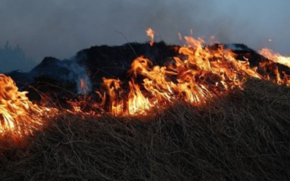 У Дніпрі та області попередили про надзвичайну пожежну небезпеку