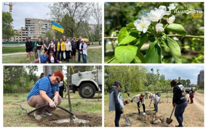 55 горобин та 35 форзицій висаджено навпроти 118 будинку на Перемозі