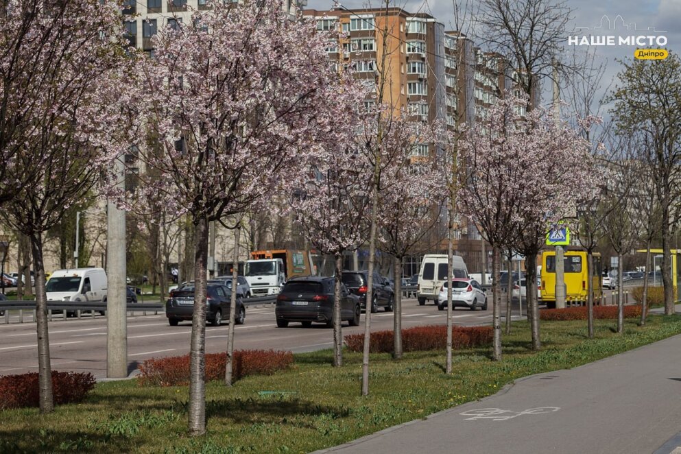 Погода на вихідних 6-7 квітня у Дніпрі - Наше Місто