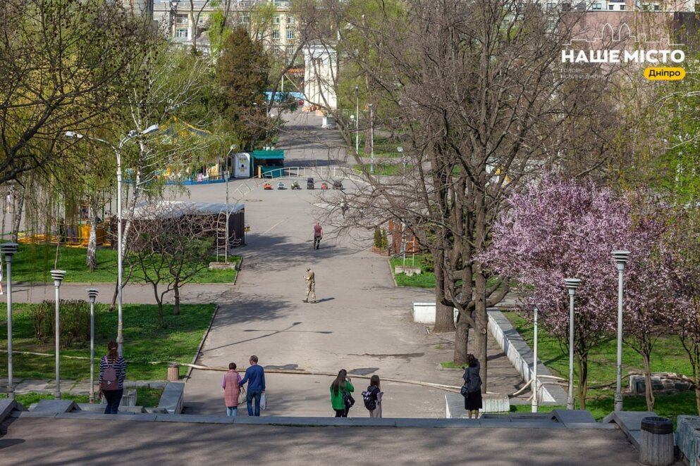 У парку Глоби цвітуть слива Пісарді та айва японська - Наше Місто