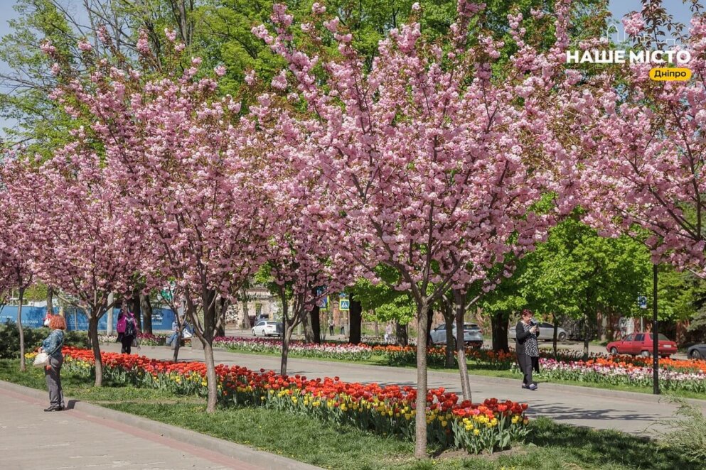 алея біля пам'ятника Слави