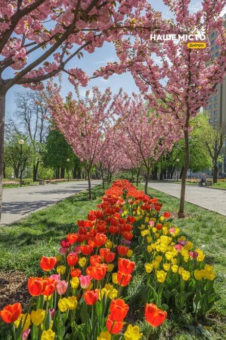 як за 7 років змінилася алея біля пам'ятника Слави