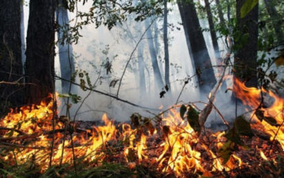 У Дніпропетровській області оголосили надзвичайний рівень небезпеки