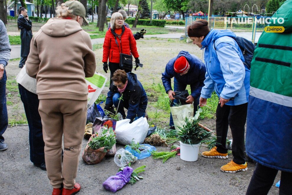 толока в Днепре