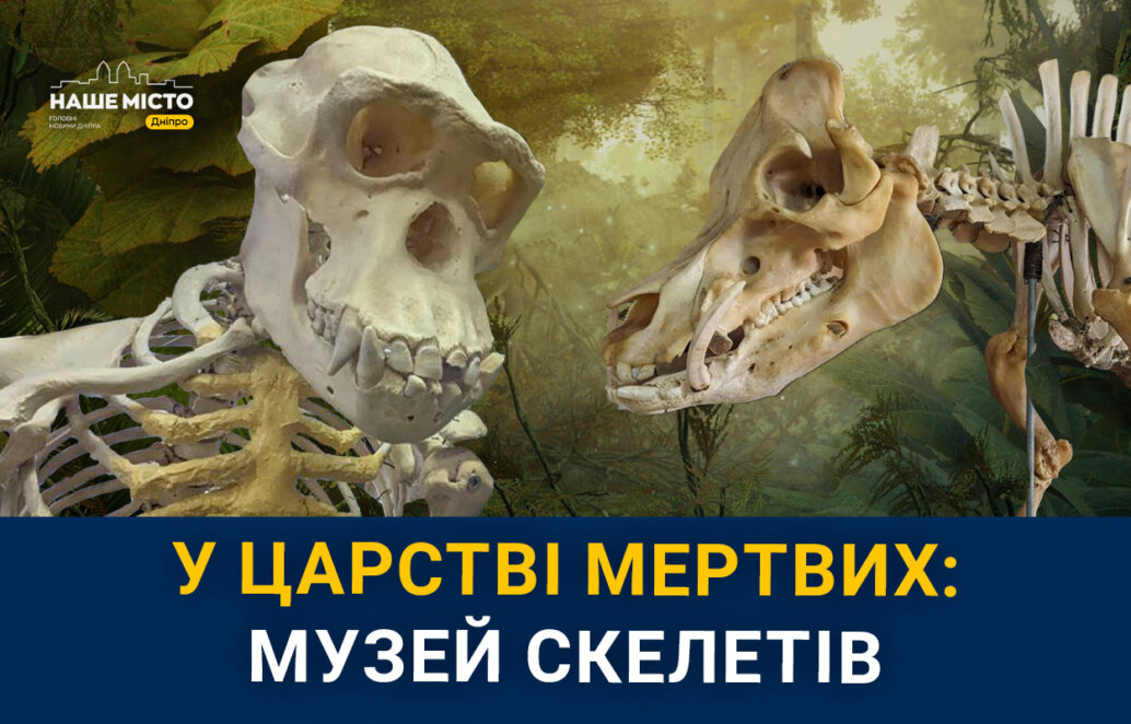 Мамонти, сіамські близнюки та екзотичні тварини: як у Дніпрі виглядає унікальний музей скелетів