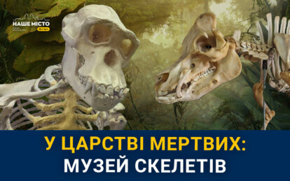 Мамонти, сіамські близнюки та екзотичні тварини: як у Дніпрі виглядає унікальний музей скелетів