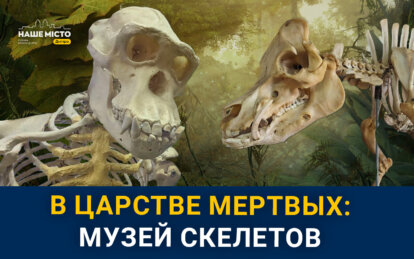 Мамонты, сиамские близнецы и экзотические животные: как в Днепре выглядит уникальный музей скелетов