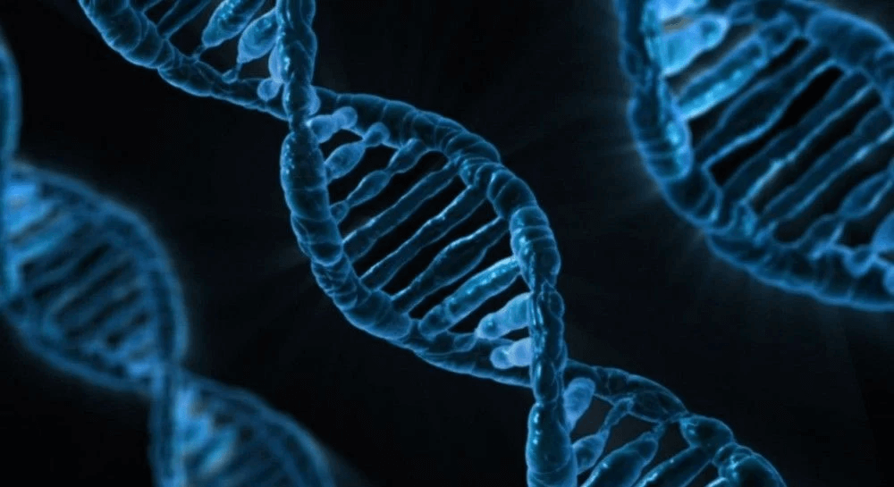У Дніпрі тепер можна безоплатно виявити генетичні захворювання