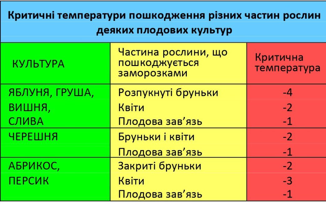 На Дніпро і область насуваються сильні заморозки: оголошено помаранчевий рівень небезпечності 