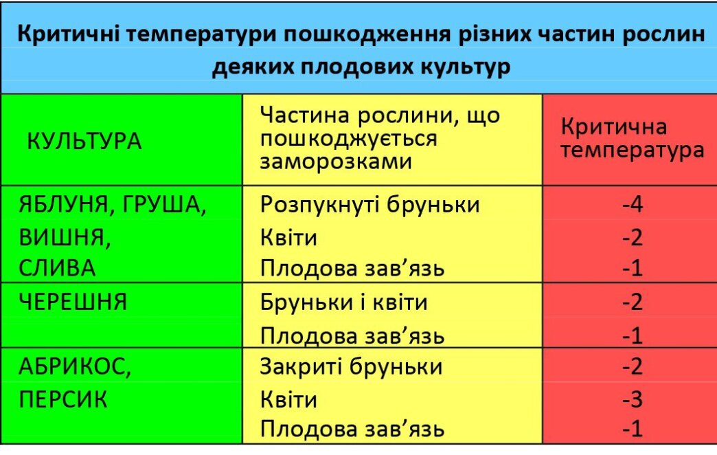 На Днепр и область надвигаются сильные заморозки: объявлен оранжевый уровень опасности