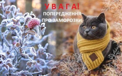 На Дніпро і область насуваються сильні заморозки: оголошено помаранчевий рівень небезпечності