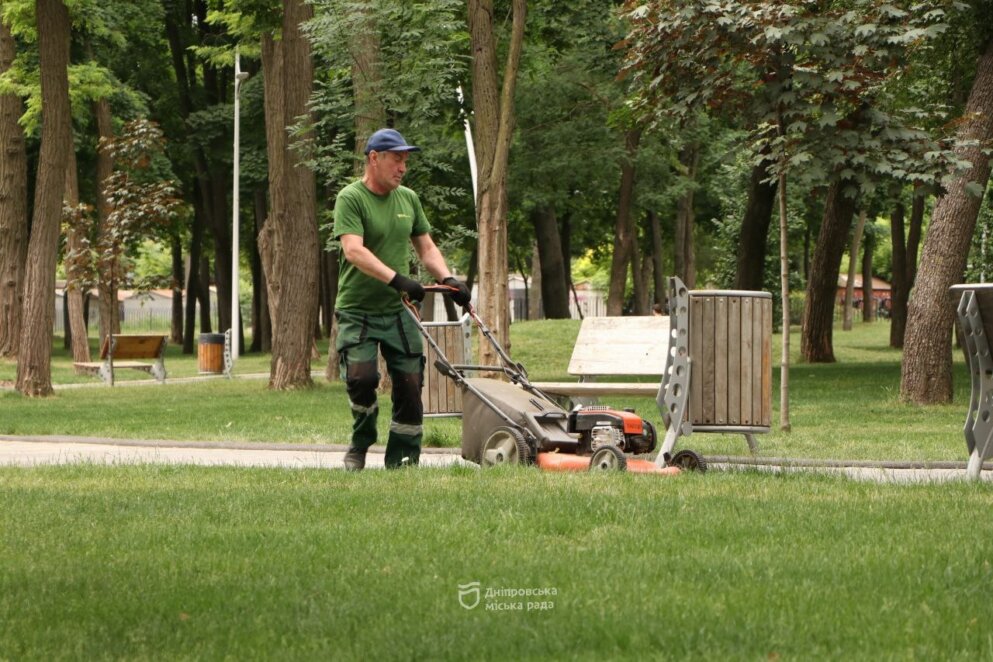 Парки Дніпра на початку літа буяють яскравими фарбами - Наше Місто