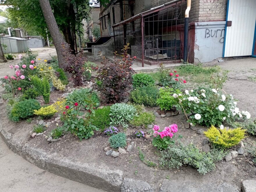 Замість пустиря – квітник: дружина військового у Дніпрі перетворила занедбану ділянку на гарну клумбу