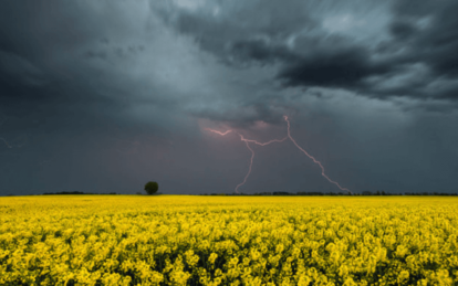 На вихідних Україну заллє дощами: якою буде погода у Дніпрі