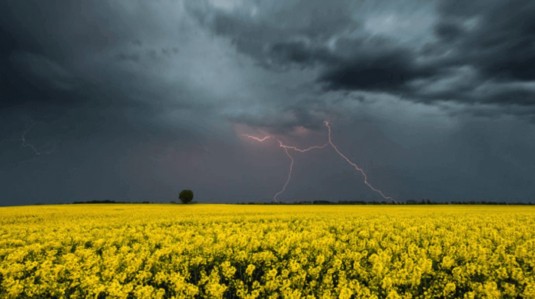 На вихідних Україну заллє дощами: якою буде погода у Дніпрі